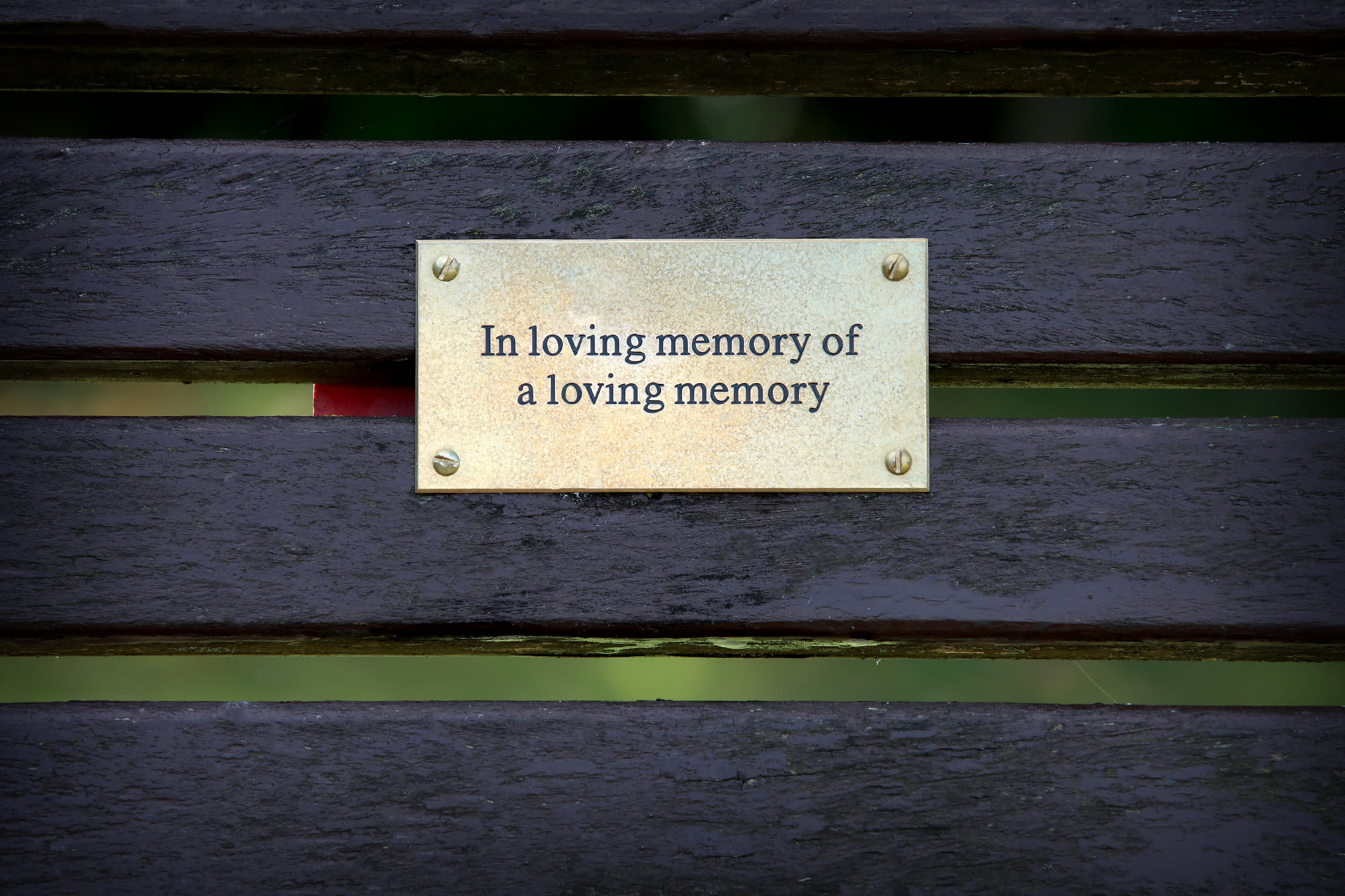 Oliver Bragg's artwork showing a memorial plaque attached to a bench