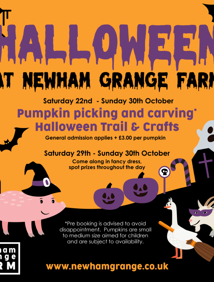 Halloween at Newham Grange Farm