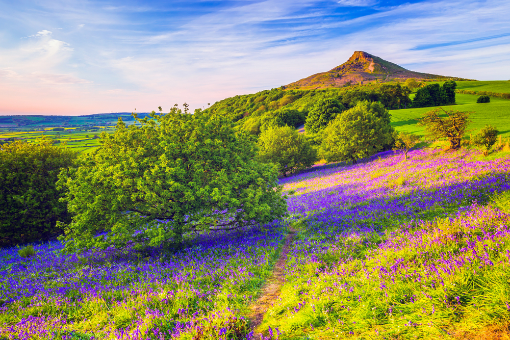 Roseberry Topping, just outside Middlesbrough